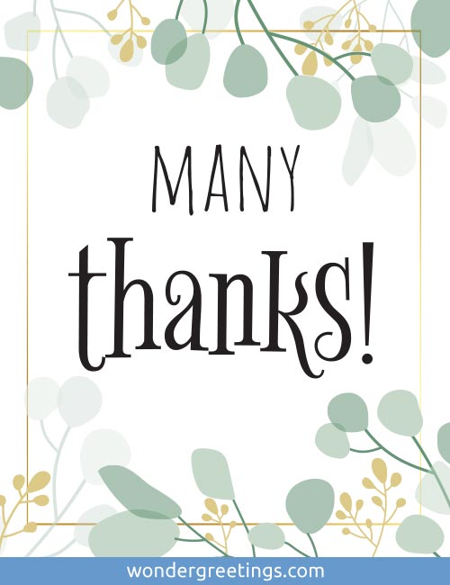 Many thanks!