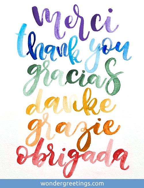 Merci, thank you, gracias, danke, grazie, obrigada