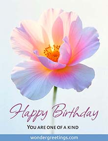 Happy Birthday. <BR>You are one of a kind