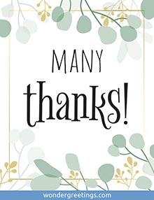 Thankyou free 3D card. Many thanks!