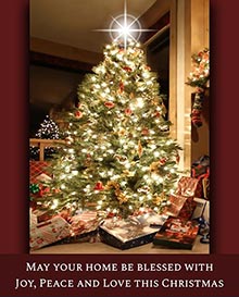 May your home be blessed with Joy, Peace and Love this Christmas.