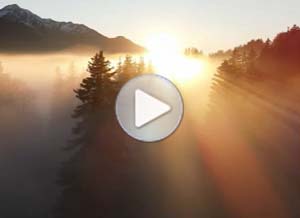 Imagen de Just because para compartir gratis. Thank God for this day